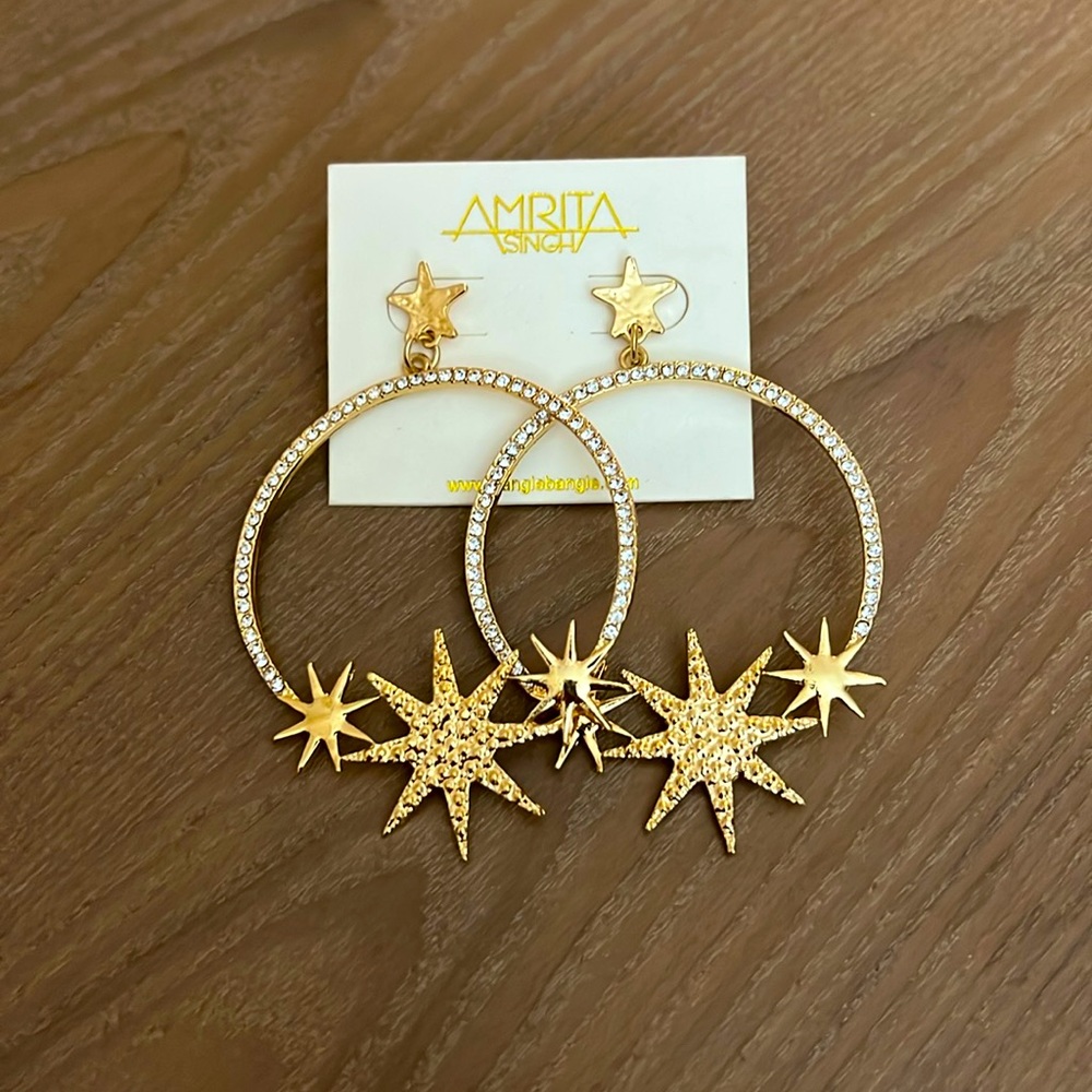 Beautiful Earrings by Amrita Singh
